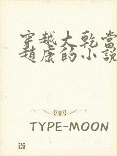 穿越大乾当县令赵康的小说