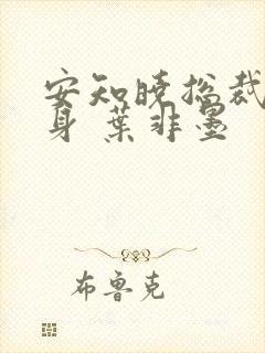 安知晓总裁的替身 叶非墨