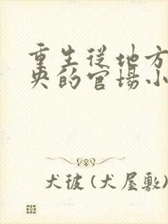 重生从地方到中央的官场小说