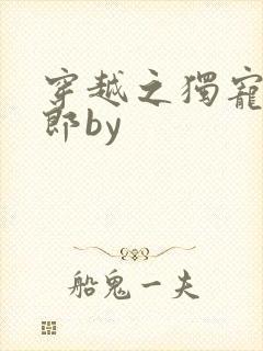 穿越之独宠小夫郎by封面