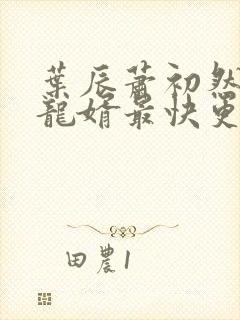 叶辰萧初然上门龙婿最快更新