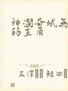 神澜奇域无双珠的主角