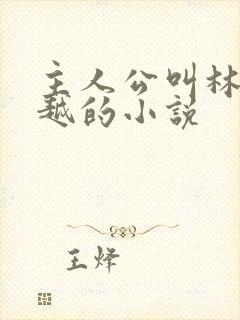 主人公叫林枫穿越的小说