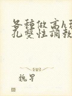 各种做高h玩尿孔双性调教