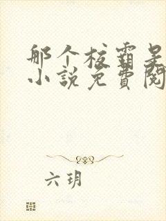 那个校霸是我的小说免费阅读