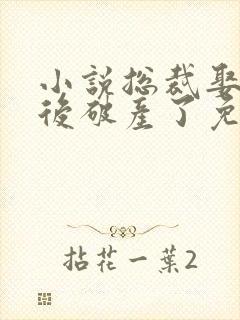 小说总裁娶我之后破产了免费阅读