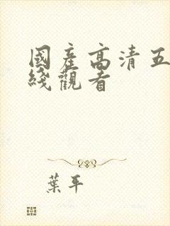 国产高清五码在线观看