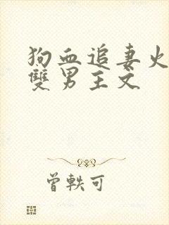 狗血追妻火葬场双男主文