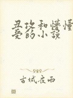 丑攻和懵懂无知受的小说