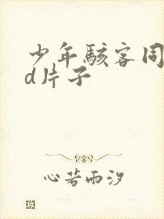 少年骇客同人3d片子