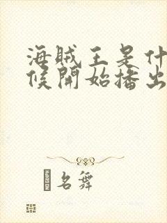 海贼王是什么时候开始播出的