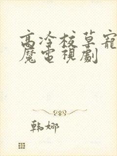 高冷校草宠妻狂魔电视剧封面