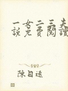 一女二三夫的小说免费阅读全文