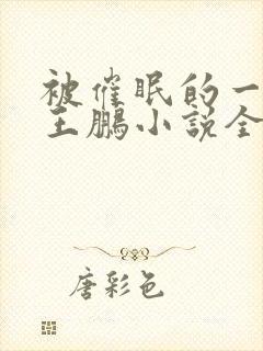 被催眠的一家人王鹏小说全文阅读无