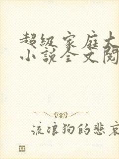 超级家庭大杂烩小说全文阅读封面