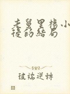 老舅里杨小姐最后的结局