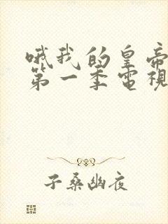 哦我的皇帝陛下第一季电视剧封面