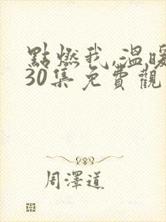 点燃我,温暖你30集免费观看封面