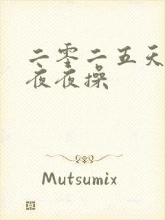 二零二五天天干夜夜操