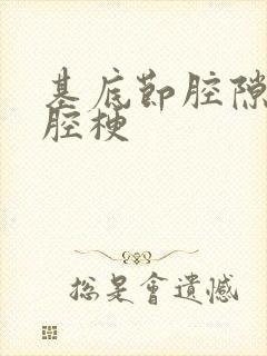 基底节腔隙性脑腔梗