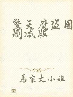 惊天魔盗团2无删减版封面