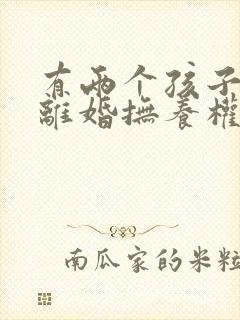 有两个孩子夫妻离婚抚养权怎么判封面