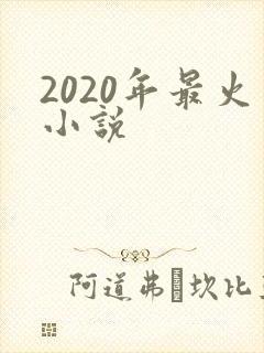 2020年最火小说