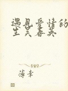 遇见爱情的利先生吴春英封面