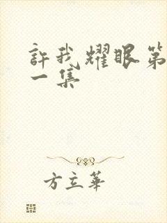 许我耀眼第二十一集