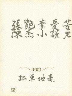 张艳李爱芳女婿陈杰小说免费版