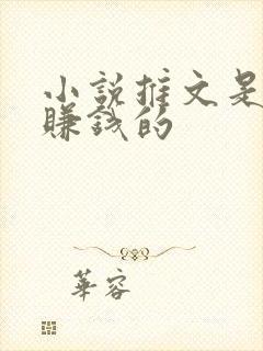 小说推文是怎么赚钱的