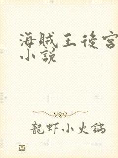 海贼王后宫同人小说