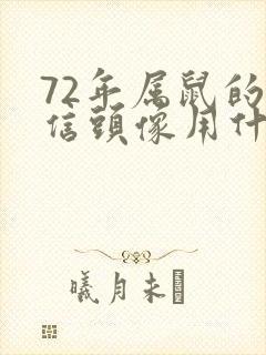 72年属鼠的微信头像用什么旺财