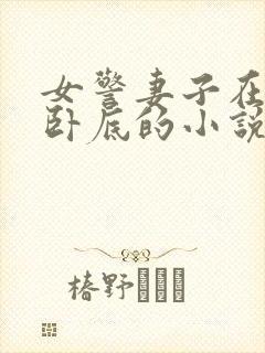 女警妻子在黑帮卧底的小说