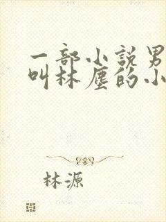一部小说男主角叫林尘的小说