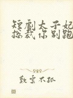 短剧太子妃驾到总裁你别跑79集