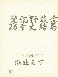 裴沉野苏念辞第26章大结局