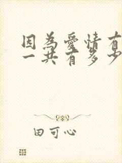 因为爱情有多美一共有多少集