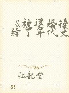 《被退婚后我嫁给了年代文大佬》封面