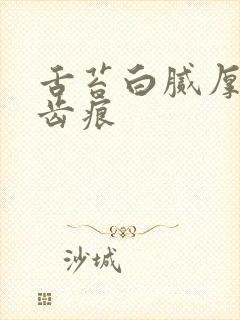 舌苔白腻厚 有齿痕