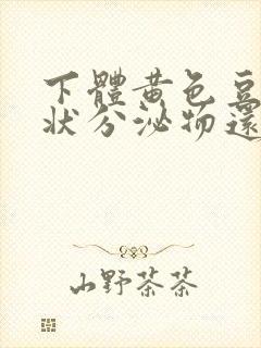 下体黄色豆腐渣状分泌物还痒