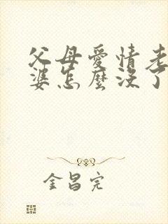 父母爱情老丁老婆怎么没了