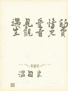 遇见爱情的利先生观看免费完整版