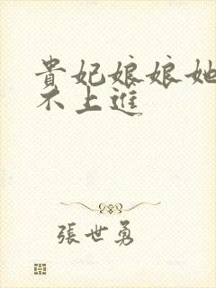 贵妃娘娘她总是不上进