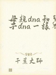 母亲dna和儿子dna一样不