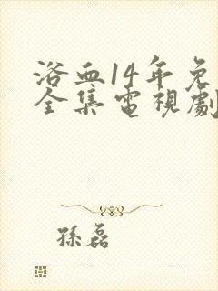 浴血14年免费全集电视剧