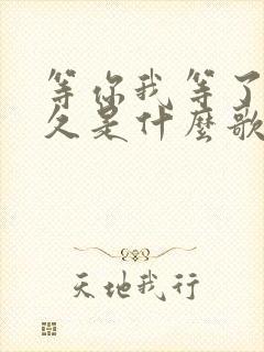 等你我等了那么久是什么歌