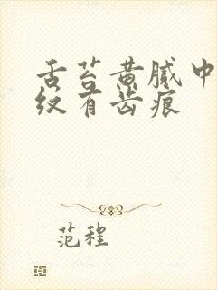 舌苔黄腻中间裂纹有齿痕