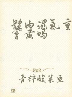 体内湿气重小便会黄吗