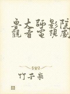 鲁大师影院免费观看电视剧最新上映